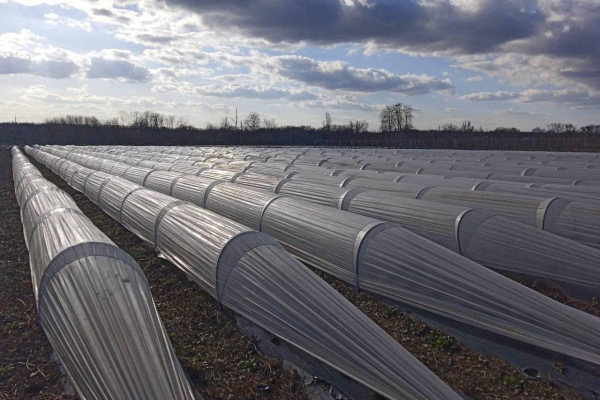 Продажа ягодной фермы 12 га в Киевской области